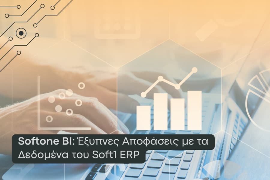 Soft1 BI για ανάλυση δεδομένων.